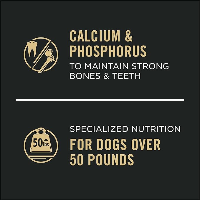Purina Pro Plan Specialized Large Breed Chicken and Rice and Beef and Rice in Gravy 12ct High Protein Wet Dog Food Variety Pack - (Pack of 12) 13 oz. Cans