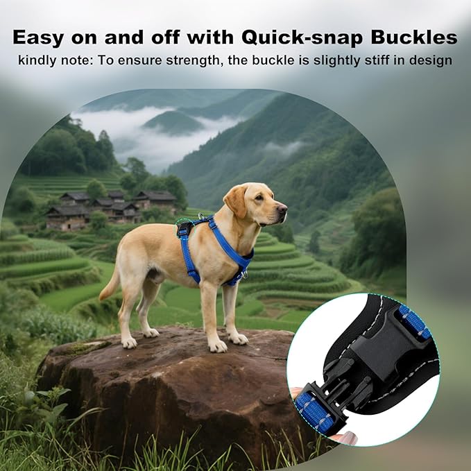 Plutus Pet Adjustable No Pull Dog Harness with Leather Accents, Heavy Duty Reflective Nylon Vest for Training, Hiking, Easy Walk Harness for Small, Medium, Large Dogs (Royal Blue, XL)
