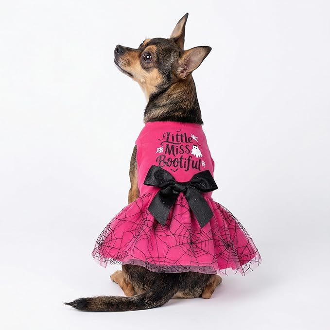 Fitwarm Little Miss Bootiful Halloween Dog Dress, Funny Costumes for Small Dogs Girl, Pet Outfit, Black, Hot Pink, XXS