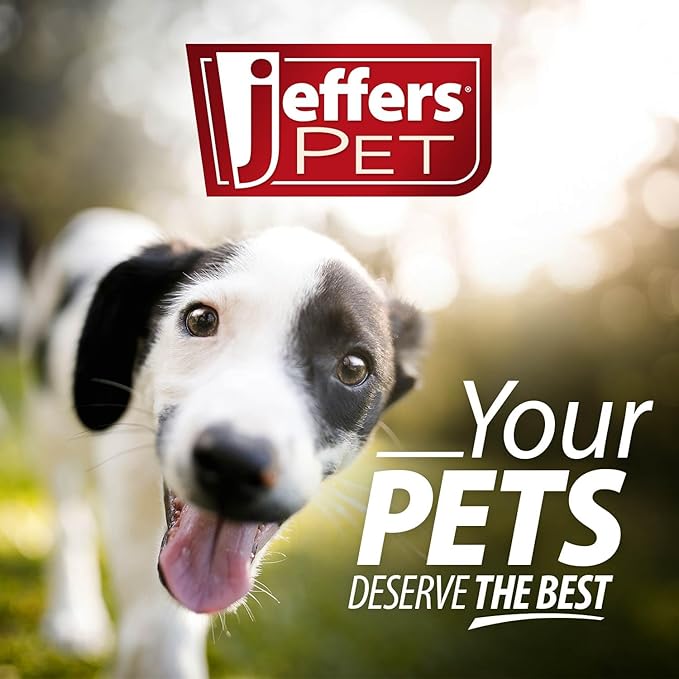 Jeffers Pet Cream Rinse 3in1 Conditioner, 17 Oz – Moisturizing & Detangling Formula for Dogs & Cats, Light Coconut Scent, Soap & Detergent Free, Safe Professional Grooming Pet Coat Care