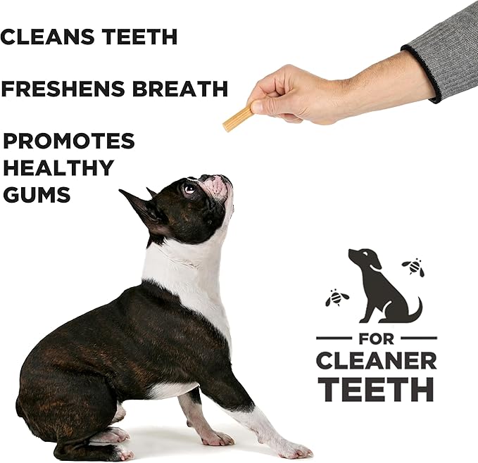 Dental Chew Sticks for Dogs 2-Pack, 7 oz Each – Small (S/M) – Textured Dental Treats, Fit Hive Toys – Vegetarian, Made with Ground Peanuts & Honey, No Grain or Soy, Cleans Teeth & Freshens Breath
