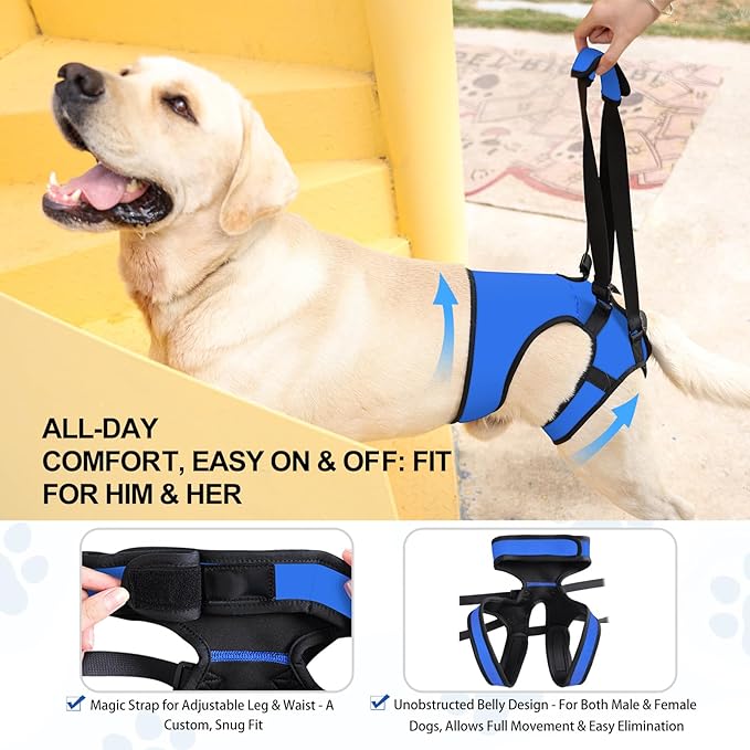LIANZIMAU Dog Sling for Large Dogs Adjustable Hind Leg Support Lift Harness Senior Canine Mobility Aid Carrier for Back Legs Walking Rehabilitation