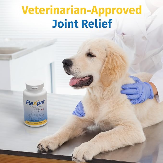 Hip & Joint Supplement for Dogs & Cats with Cetyl Myristoleate, Glucosamine, Collagen, MSM - Advanced Joint Support for Mobility, Senior Pets, Small & Large Breeds - 60 Tablets (Pork Liver)