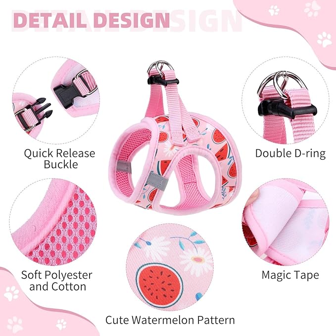 KOOLTAIL Dog Harness and Leash Set for Small Medium Dogs, Step in No Pull Soft Mesh Dog Harness Comfort Padded Pet Vest, Adjustable Reflective Easy Walking Puppy Cats Harness Training, Watermelon XS