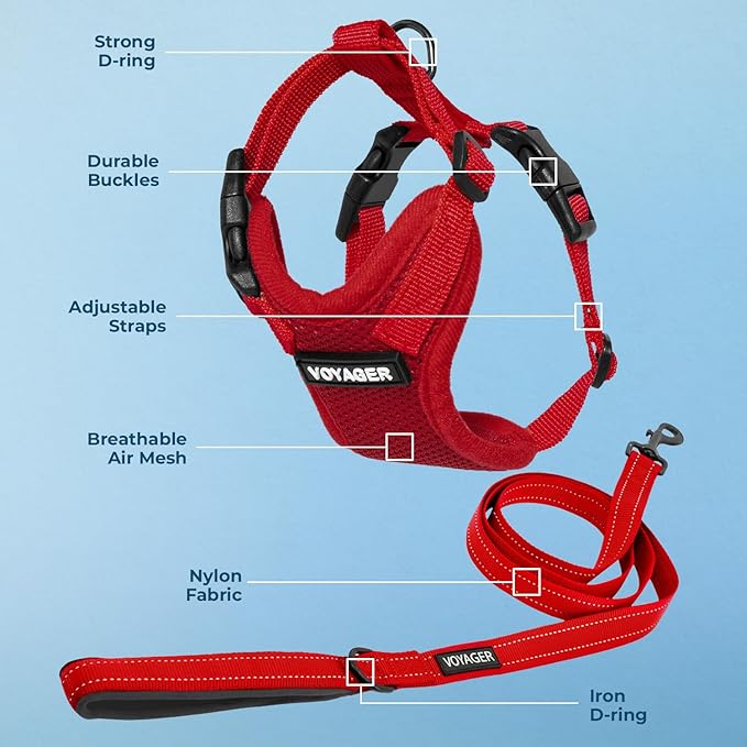 Voyager Step-in Lock Dog Harness w Reflective Dog Leash Combo Set with Neoprene Handle 5ft - Supports Small, Medium and Large Breed Puppies/Cats by Best Pet Supplies - Red, L (Pack of 2)