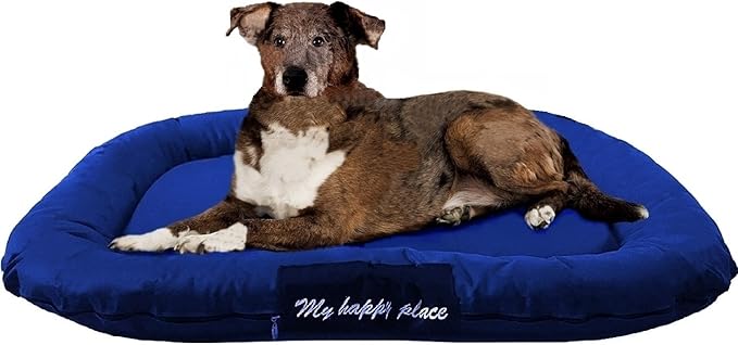 Luxury Orthopedic Solid Memory Foam Pet Bed Pad with External Strong Tough Oxford Waterproof Cover Case for Small to Extra Large Dog (48x30 inches, Navy)