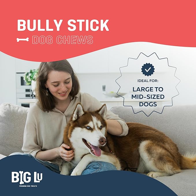 Big Lu - 12” Bully Sticks, 12 Count, Long-Lasting, 100% Grass-Fed Beef Chews for Medium and Large Dogs, Natural Single-Ingredient Fully Digestible Treats, Perfect for Aggressive Chewers