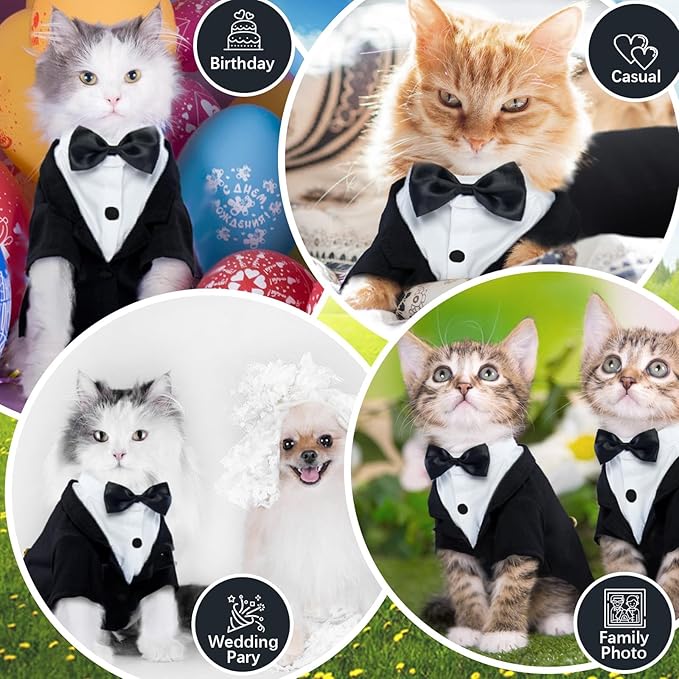 QBLEEV Cat Tuxedo Outfit, Formal Cat Suit Costume with Bow Tie, Sphynx Hairless Clothes for Cats Only, Kitten Wedding Birthday Party Attire Apparel for Male Boy, Cute Small Pet Gentleman Formal Wear