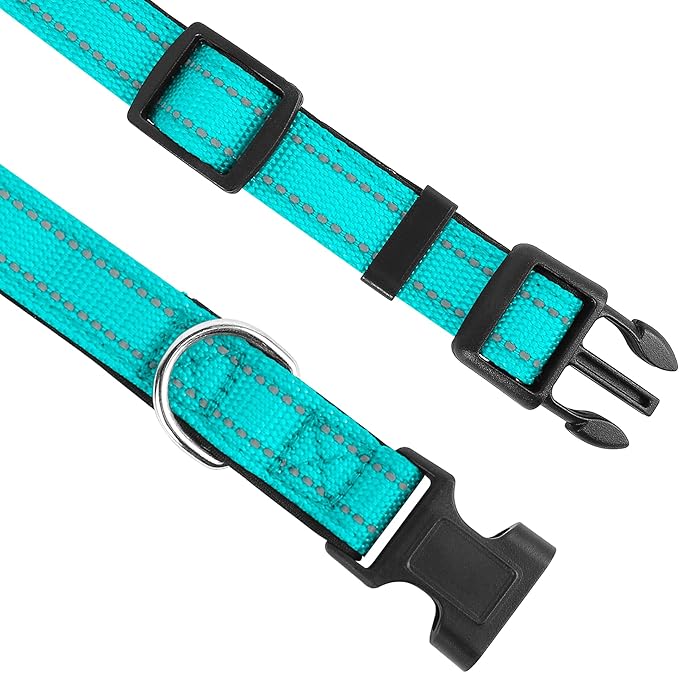 Reflective Dog Collar, Adjustable Soft Neoprene Padded Nylon Pet Collars with Buckle for Puppy and Small Dogs, Cats, Teal,XS