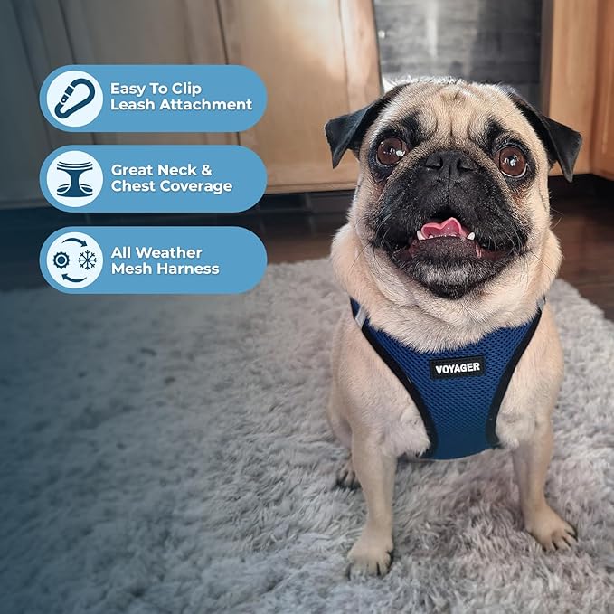 Voyager Step-in Air All Weather Mesh Harness and Reflective Dog 5 ft Leash Combo with Neoprene Handle, for Small, Medium and Large Breed Puppies by Best Pet Supplies - Blue/Black Trim, XXX-Small