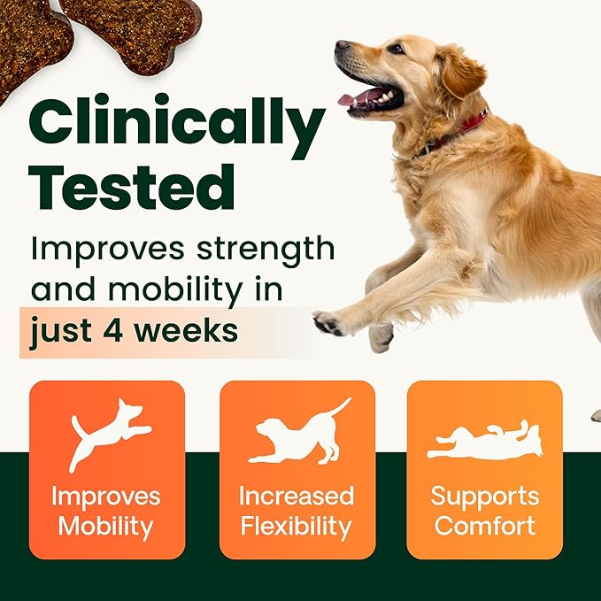 VetriScience Ultimate Strength Healthy Hip & Joint Chews, GlycoFlex Glucosamine, Chondroitin & GreenLipped Mussel Support Supplement for Dogs, Soothe Joint Discomfort, Duck,120 Ct (Pack of 2)
