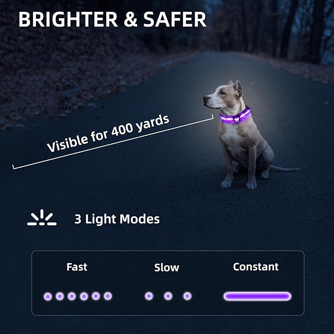 LED Dog Collar for Small Dogs & Toy Breeds – USB-C Rechargeable Light Up Dog Collar, Fully Waterproof Adjustable Glow Collar for Night Walking & Safety(Purple,S)