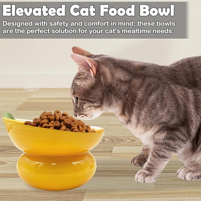 Hamiledyi Ceramic Raised Cat Bowls 15° Tilted Elevated Kitten Food Water Bowl Shallow Whisker Fatigue Kitty Dish Fruit Pet Feeding Bowls Feeder for Indoor Cats Small Dog (Yellow Orange)
