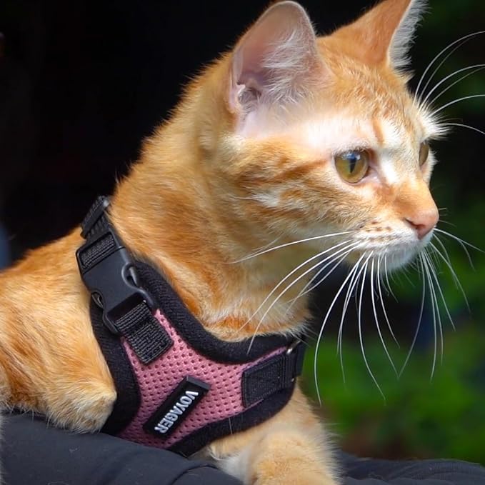 Best Pet Supplies Voyager Step-in Lock Pet Harness w Reflective Pet Leash Combo Set with Neoprene Handle 5ft - Supports Small, Medium and Large Breed Puppies/Cats - Pink/Black Trim, S