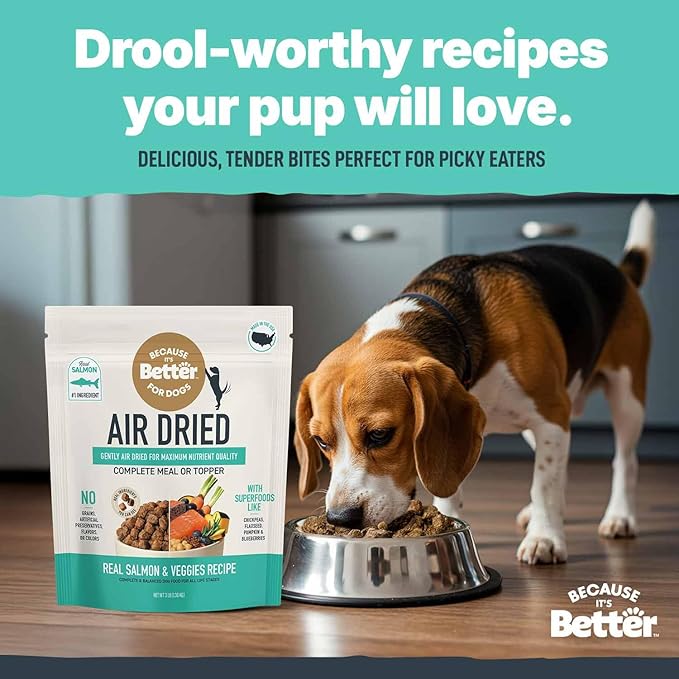 Because It’s Better Slow Baked & Air Dried Dog Food - Real Salmon & Veggies - Complete & Balanced Dry Dog Food - Grain Free, High Protein, Natural Nutrition for All Life Stages, 3 lb Bag