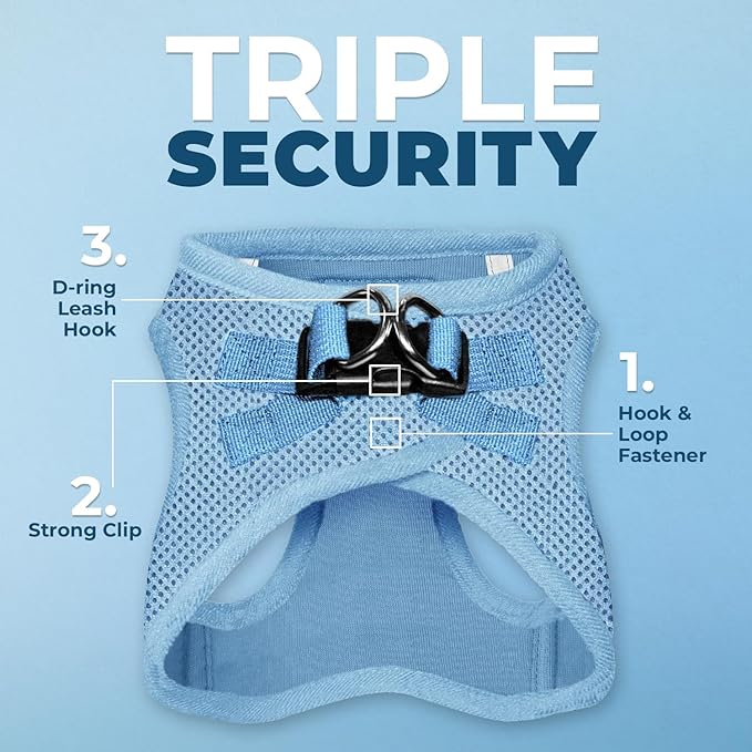 Best Pet Supplies Voyager Step-in Air All Weather Mesh Harness and Reflective Dog 5ft Leash Combo with Neoprene Handle, for Small, Medium and Large Breed Puppies - Set (Baby Blue), Medium
