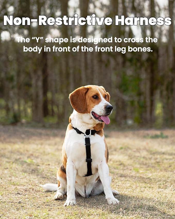 Non Restrictive No-Pull Dog Harness, Neck Buckle Desgin, Easy Walk Freedom Harness Keep Balance, Six Points Adjustment, for Medium Dog Chest(21-30 inches), Black