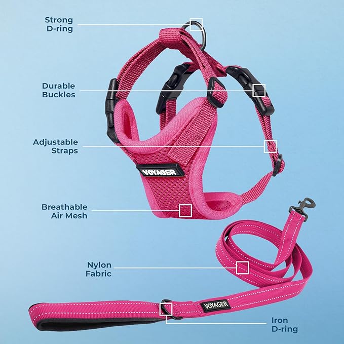 Best Pet Supplies Voyager Step-in Lock Pet Harness w Reflective Pet Leash Combo Set with Neoprene Handle 5ft - Supports Small, Medium and Large Breed Puppies/Cats - Fuchsia Set, M