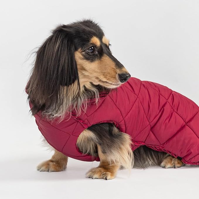 Fitwarm Reversible Quilted Dog Coat, Cozy Winter Clothes for Small Dogs Boy Girl, Windproof Thermal Pet Jacket, Red, Burgundy, XS