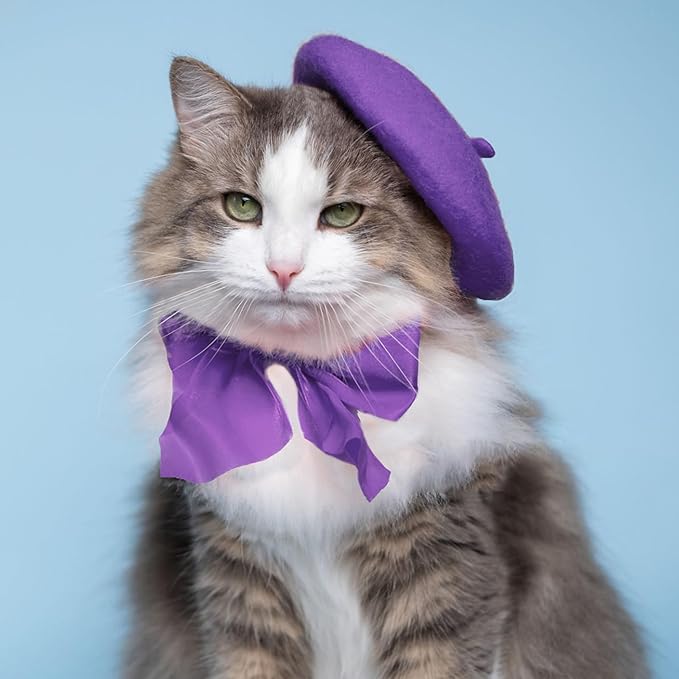 Dog Beret for Small Dogs Cat Doll, Colorful Wool Mini Cap Creative Accessories Costume French Mushroom Artist Fedora Hat Beanies Solid Color Pet Headwear Christmas Hair Accessory Photo Props (Purple)