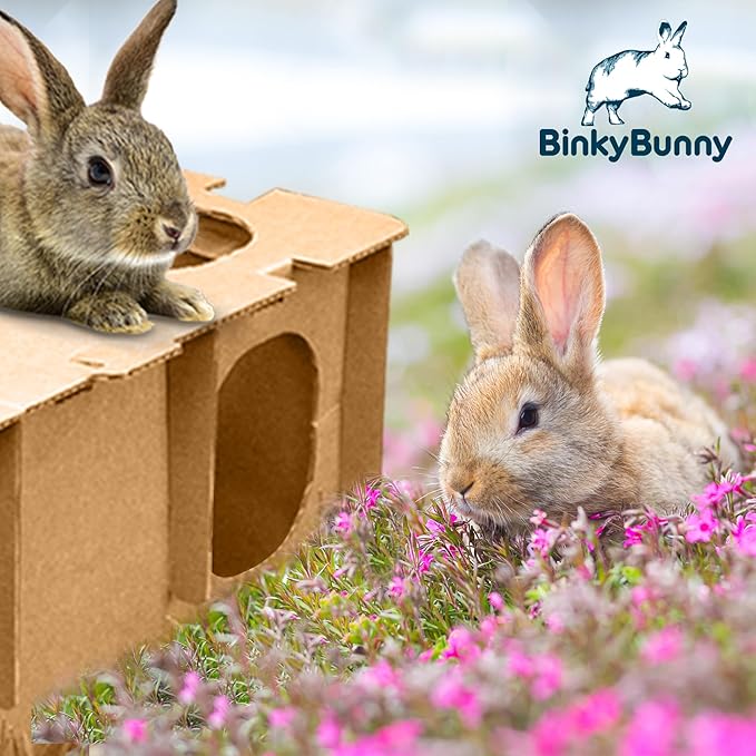 BINKYBUNNY Maze Haven - Rabbit Houses, Bunny Toys, Guinea Pig Castle, Chinchilla Playhouse