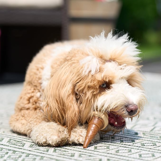 SPOT Pup Ice- Ready to Freeze at Home Dog Treats-Edible Chews for Medium Breed Dogs & Puppies with Real Chicken to Keep Your Pup Cool Year Round, Waffle Cone Vanilla and Peanut Flavor, 2pcs