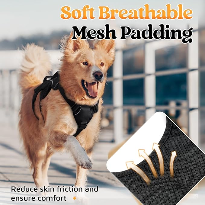 rabbitgoo Escape Proof Dog Harness with Large Handle
