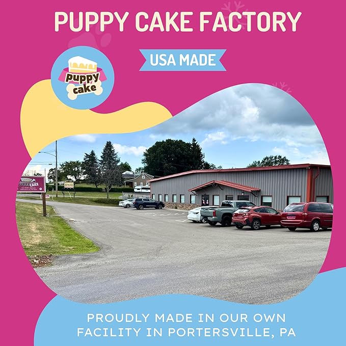 Dog Birthday Cake & Ice Cream Kit – Fluffy, Moist Cake with Pupfetti Sprinkles, Vanilla Flavor Ice Cream, Pink Bone Pan & 24 Candles. All-Natural, Made in USA