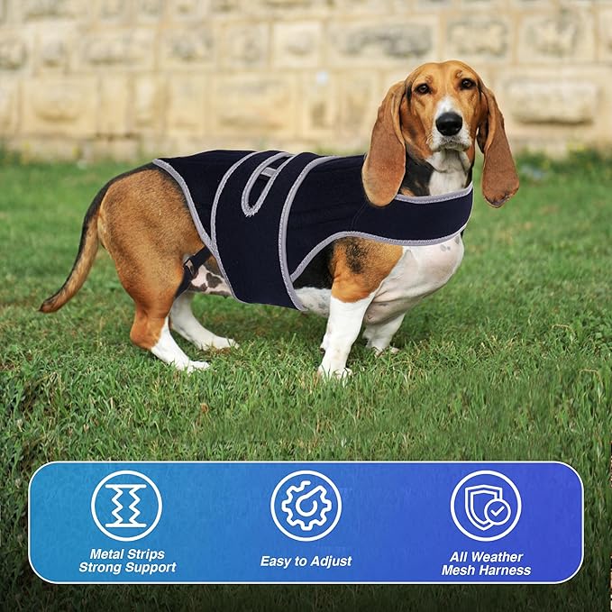 Dog Back Brace for IVDD, Soft Breathable Pet Back Support for Shih Tzu & Dachshund, Surgical Recovery & Pain Relief Harness (Small)