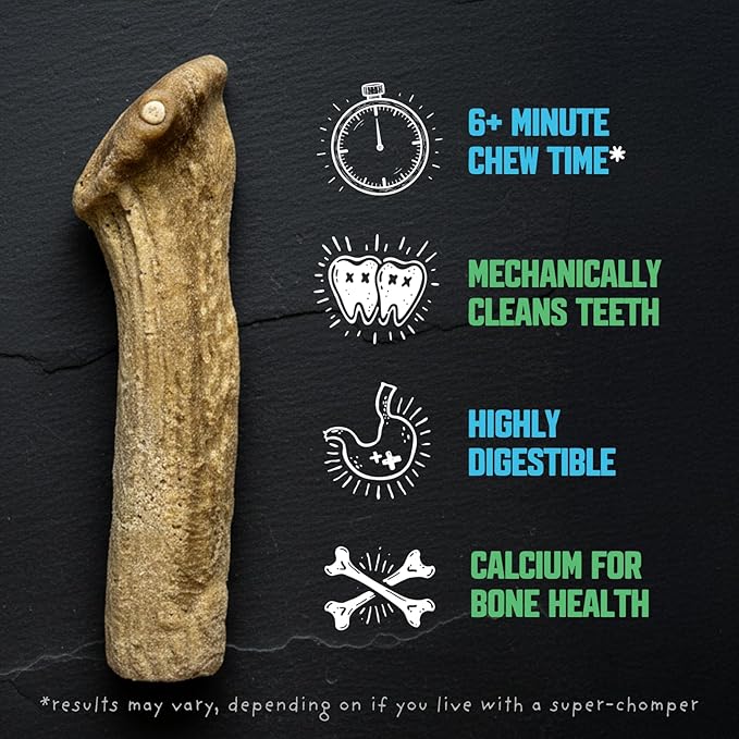 The Chew Must Go On Dog Chew, Long Lasting Healthy Snack for Adult Dogs Over 50 lbs, Made with Real Chicken, Safe Antler Alternative, Highly Digestible, Helps Clean Teeth