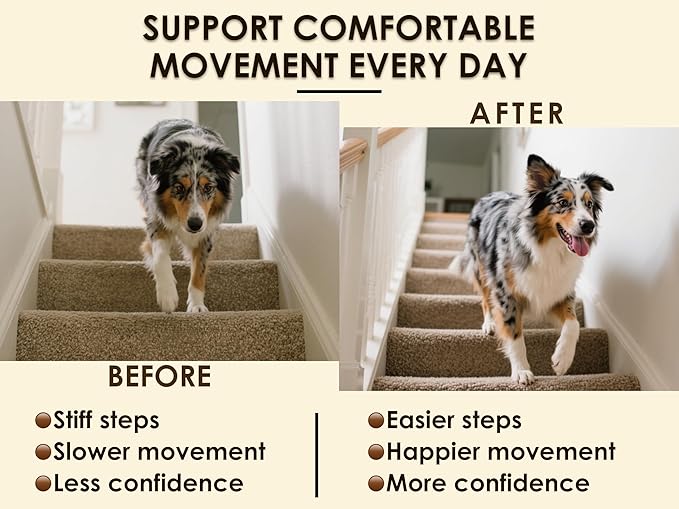 Hip and Joint Soft Chews for Dogs – 180 Count (Pack of 2 x 90) – Glucosamine, MSM, Chondroitin, Omega-3, Green-Lipped Mussel – Joint Support Supplement – Chicken & Bacon Flavor