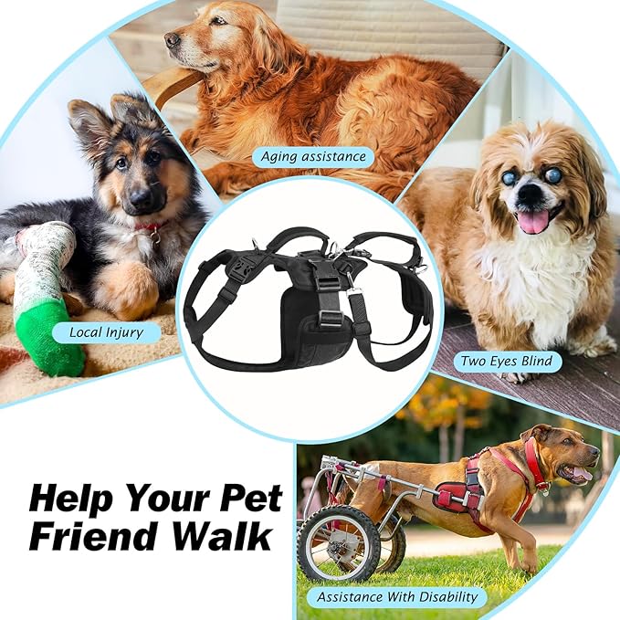Dog Lift Harness for Large/Medium Dogs, Dog Support & Recovery Sling for Full-Body & Hind/Front Leg – Pee-Able Design – All-in-One Ideal Assistance for Senior, Disabled, Arthritic & ACL Canines (L)