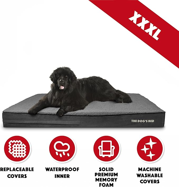The Dog’s Bed Orthopedic Memory Foam Dog Bed for XXXL Dogs, Waterproof Washable Cover, Anti-Slip Base, Calming Surface – CertiPUR-Certified Foam, Grey Plush, 6 Inch Thick