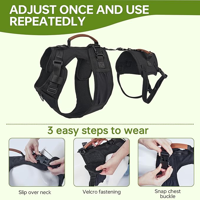 Dog Lift Harness for Male Dogs - 2-in-1 Full Body Support Aid & Sling, Comfortable & Chafe-Free for Post-Surgery Recovery and Elderly Dog Mobility, Hind Leg Assistance, Supports up to 55 Lbs (L)