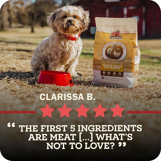 Redbarn Whole Grain Large Breed Dog Food Kibble - Beef & Lamb Recipe - Made in USA No Chicken Recipe with Functional Ingredients to Support Healthy Heart, Joints, Digestion, Skin & Coat - 15lb