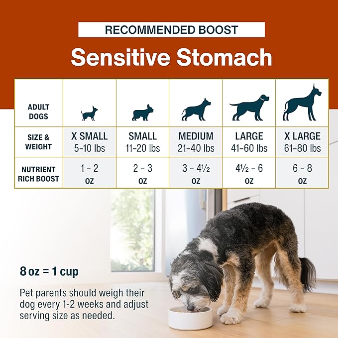 JustFoodForDogs JustFresh Boost Sensitive Stomach Dog Food Toppers with Fiber for Gut Support & Digestive Health, Human-Grade Fresh Pet Meal Booster, 8 oz Pouches - 8 Pack