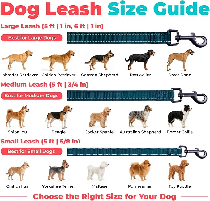 Best Pet Supplies Voyager Reflective Dog Leash or Collar with Neoprene Handle, for Small, Medium, and Large Breed Puppies, Cute and Heavy Duty for Walking, Running and Training - Blue (Leash), S