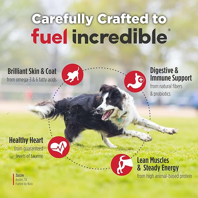 Nulo FreeStyle Adult Trim Dry Dog Food - High Protein Grain Free Dog Food for Healthy Weight Management, Natural Kibble with Probiotics, L-Carnitine and Fiber for Small, Medium, Large Breeds, 26lb
