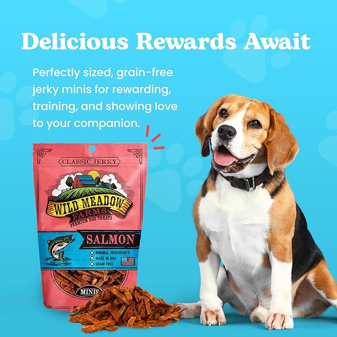 Wild Meadow Farms - Classic Salmon Minis, Soft Jerky Training Treats for Dogs, Grain-Free, All-Natural & Perfectly Sized for Training, High-Value Rewards in a Convenient 3.5 Ounce Pouch