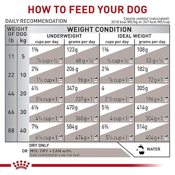 Royal Canin Veterinary Diet Canine Gastrointestinal LF Low Fat - 6.6lb