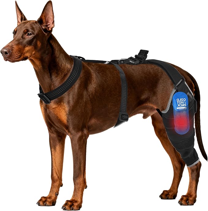 Dog Knee Brace for Back Leg - Adjustable Breathable Canine Leg Wrap with Hot & Cold Gel Packs - Supports Large & Medium Dogs with Arthritis, Hip Dysplasia, ACL Injuries, Left Hind Leg (XL)