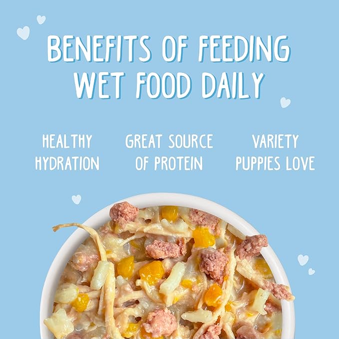 Weruva Puppy, Chicken and Rice Formula in Gravy, 14oz Can, Pack of 10