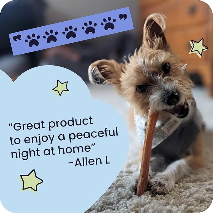 Pawstruck 12 Inch Bully Sticks for Medium & Large Dogs (5 Pack) - All Natural Beef Pizzle, Long Lasting, Rawhide-Free, Low Odor, Single Ingredient Dog Chews & Dental Treats