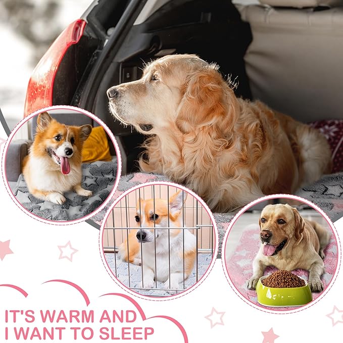Tranqun 4 Pcs Waterproof Dog Blankets 24 x 16 Inch Washable Puppy Blankets for Small Dog Reusable Pet Pee Pad Soft Reversible Fleece Cat Blanket Sleep Floor Mat for Guinea Pig Cage Liners (Multicolor)