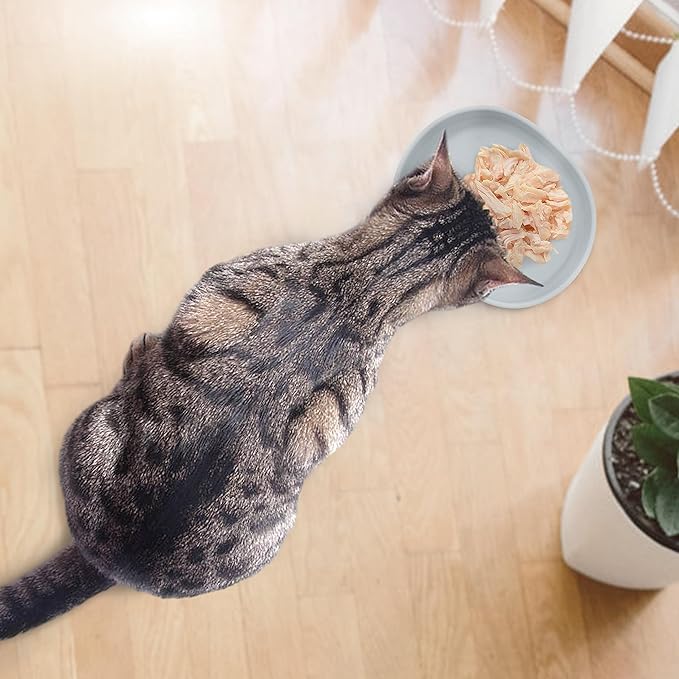 Silicone Cat Dog Bowls, Non Slip Dog Food Cat Feeding Plates, Pet Drinking Bowl for Dry and Wet Food, 10 OZ/330ML Water Bowl for Small Pets 2PCS (Gray)