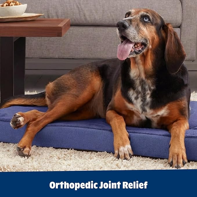 Barkbox Orthopedic Dog Bed with Memory Foam - Comfortable, Durable & Machine Washable Pet Bed - Small - Navy
