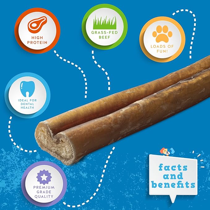 Jack&Pup 6 Inch Bully Sticks for Medium Dogs, Dog Bully Sticks for Small Dogs-6" Stick for Puppies Bully Stick Odor Free Long Lasting Dog Chews, (6 Inch Bully Stick 50 Pack)