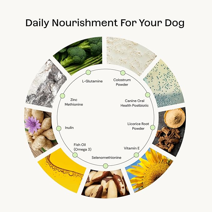 Daily Prebiotic + Postbiotic Dog Supplement Powder | 12-in-1 Support for Gut, Joints, Allergy, Immunity, Calming & Oral Health | Human-Grade Ingredients, No Artificial Flavors-No Fillers - 30 Sachets