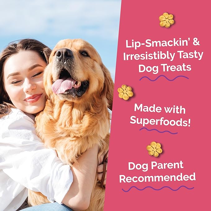 Fruitables Baked Dog Treats, Healthy Pumpkin Treat for Dogs, Low Calorie & Delicious, Pet Essential, Made with No Wheat, Corn & Soy, Made in the USA, Allergy Friendly, Pumpkin and Apple Flavor, 20 oz