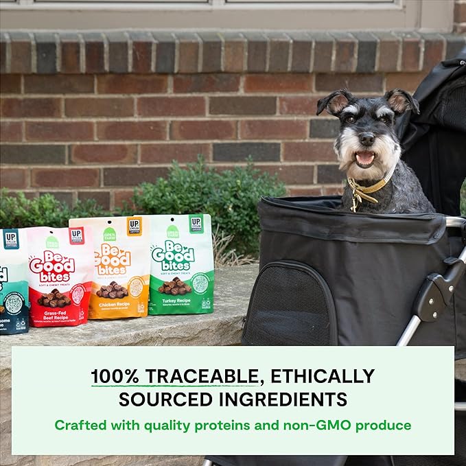Open Farm, Be Good Bites, Soft Dog Training Treats, Small & Chewy, Made with Ethically & Sustainably Sourced Ingredients, Non-GMO Fruits & Grains, Grass-Fed Beef Recipe, 6oz Pouch